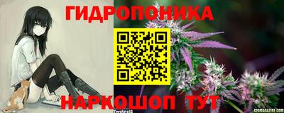 стаф Кинель