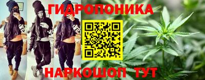 стаф Кинель
