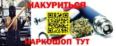 молекула духа Кингисепп