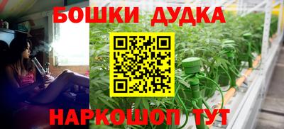 молекула духа Кингисепп