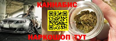 молекула духа Кингисепп