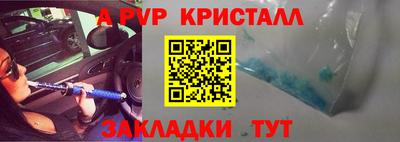 молекула духа Кингисепп