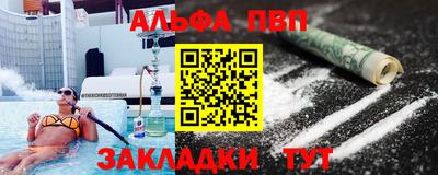 молекула духа Кингисепп