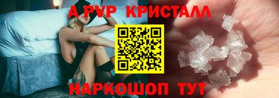 молекула духа Кингисепп