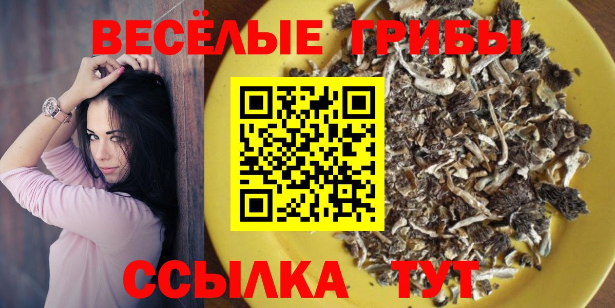 Галлюциногенные грибы MAGIC MUSHROOMS Королёв